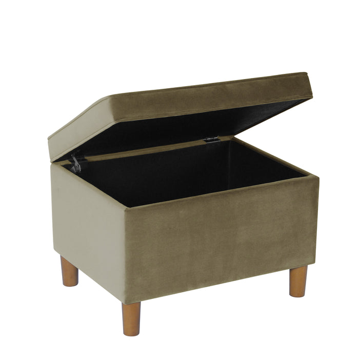 HomePop - Dinah 24" Storage Ottoman- Light Sage Green Velvet