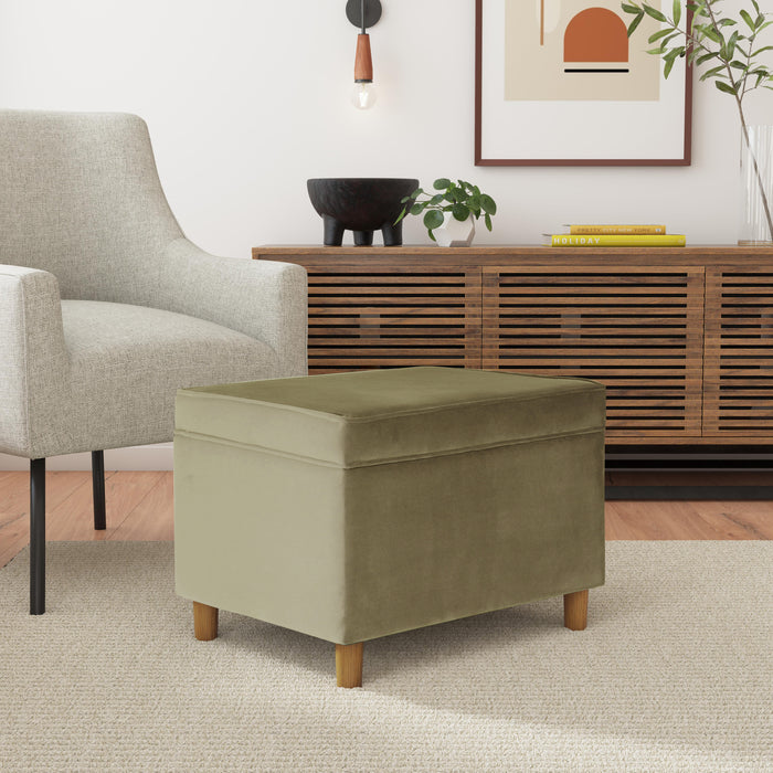 HomePop - Dinah 24" Storage Ottoman- Light Sage Green Velvet