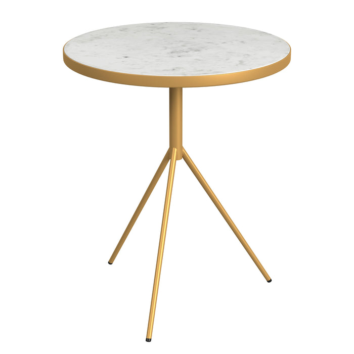 HomePop Marble Top Side Table with Gold Base