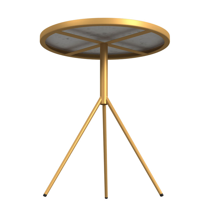 HomePop Marble Top Side Table with Gold Base